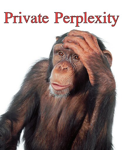 http://IndieMusicPeople.com/Uploads/Private Perplexity_-_monkey.JPG