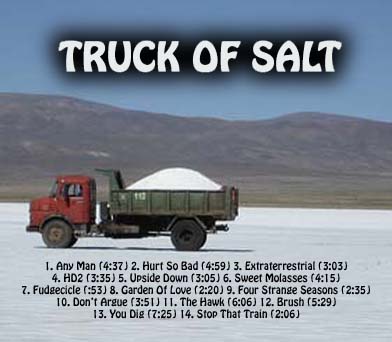 http://indiemusicpeople.com/uploads2/117029_7_20_2008_3_19_48_PM_-_truck_of_salt_CD_w_songs.jpg