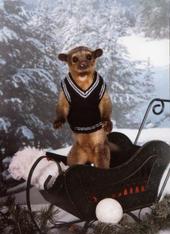 http://indiemusicpeople.com/uploads2/97081_3_6_2008_1_48_07_PM_-_Sleighride_Jack.jpg