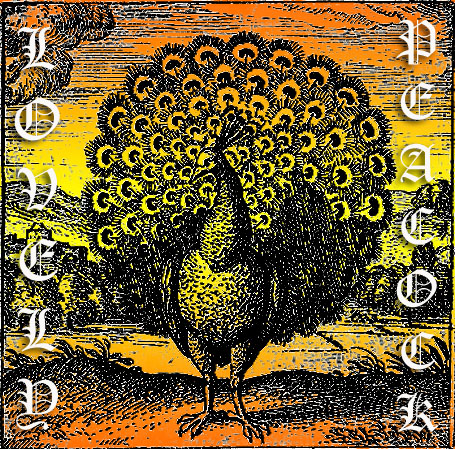 http://indiemusicpeople.com/uploads2/Lovely_Peacock_-_peacock_copy.jpg
