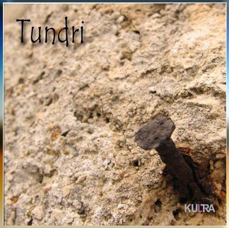 http://indiemusicpeople.com/uploads2/World_Music_Orchestra_-_TUNDRI_-_Logo_Ekser.jpg