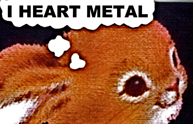 http://indiemusicpeople.com/uploads2/i_heart_metal_-_I_heart_metal2.jpg