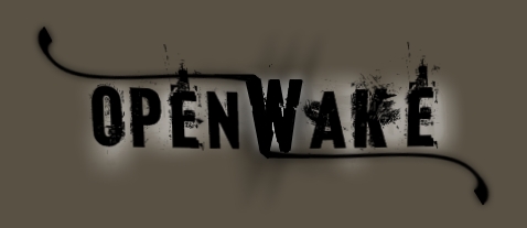 http://indiemusicpeople.com/uploads2/openWake_-_open_wake3.jpg